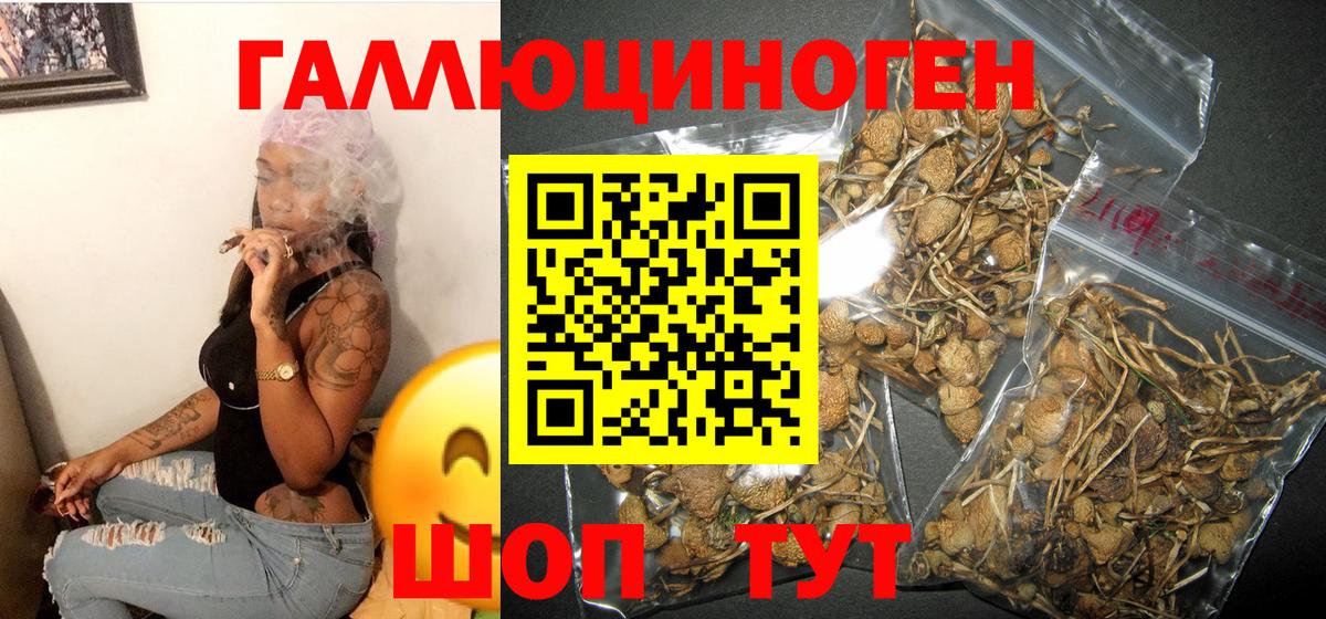 Галлюциногенные грибы мухоморы Ялуторовск